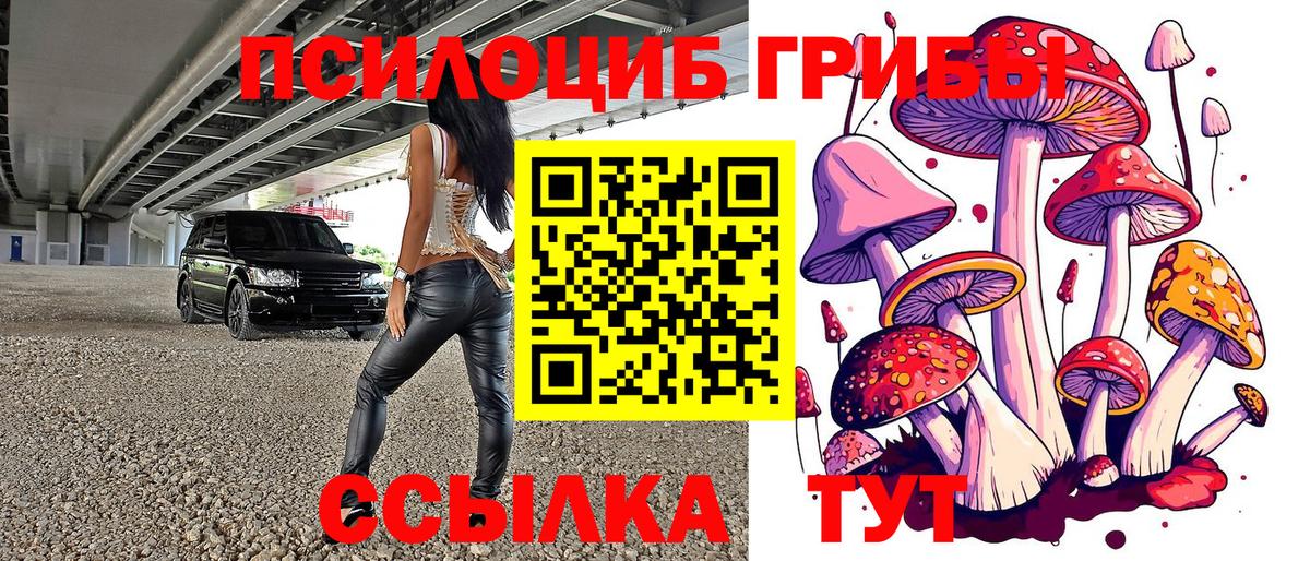 Псилоцибиновые грибы Cubensis Еманжелинск